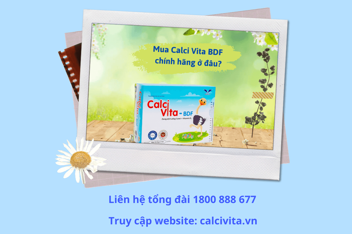 Calci Vita BDF Kids mua ở đâu chính hãng?