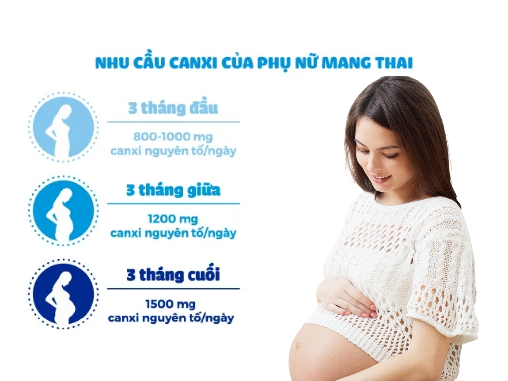 Nhu cầu canxi của bà bầu trong từng giai đoạn