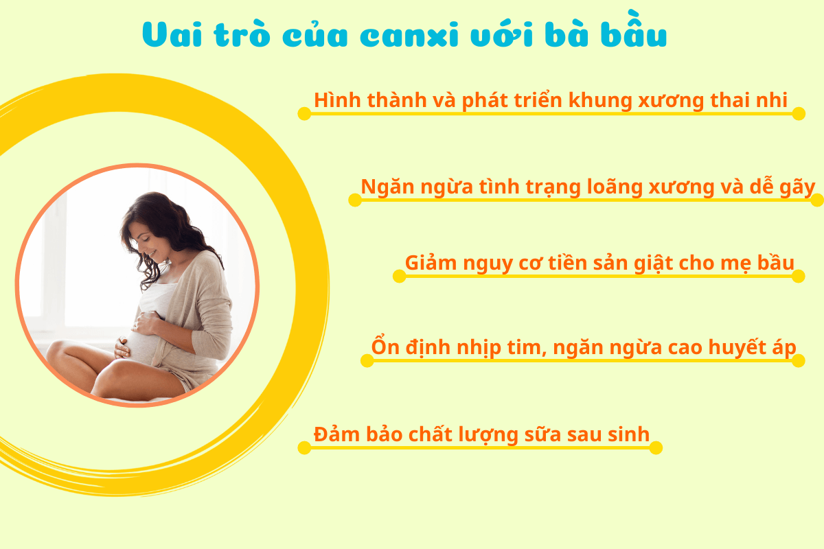 Những vai trò quan trọng của việc bổ sung canxi cho bà bầu