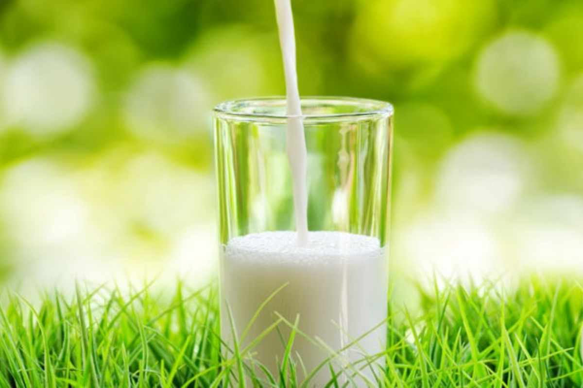 Cách lựa chọn sữa tăng chiều cao ít béo