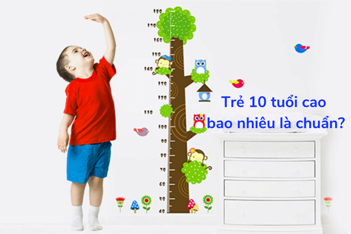 Trẻ 10 tuổi cao bao nhiêu là chuẩn?